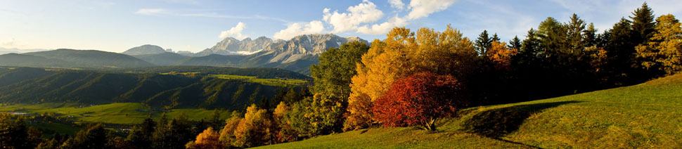 Austria Invest: Инвестиции, недвижимость, бизнес Austria Invest: Инвестиции, недвижимость, бизнес